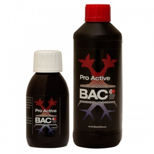 Bac Pro-active