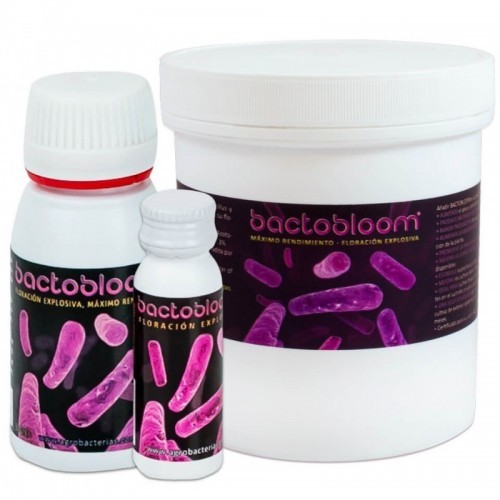 Bactobloom
