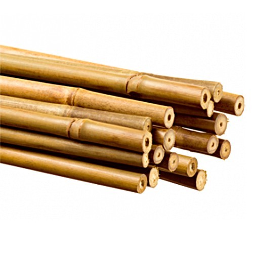 Tutor Bambú